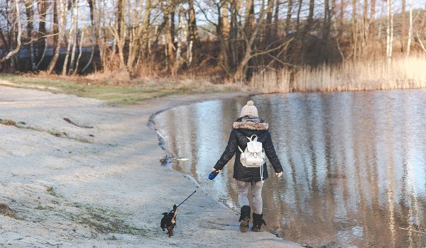 chůze, pohyb, prevence osteoporózy, zdraví, zdravé srdce, nord walking