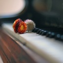 Lidé, kteří nemají rádi hudbu trpí muzikální anhedonií