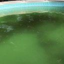 Nastartování bazénu po zimě: průvodce krok za krokem