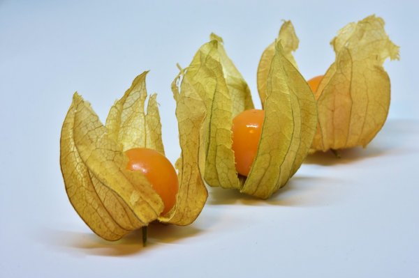 ovoce, vitaminy, minerály, Physalis, mochyně, 