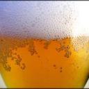 Jak ochutnávat pivo?
