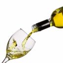 Alkohol - metla lidstva