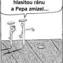 Kam šel Pepa?