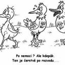 Po nemoci?