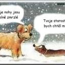 Zima číhá všude