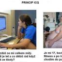 Princip icq