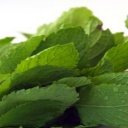 Detoxikace, aby byla účinná, musí probíhat neustále