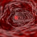 Krev je nejdůležitější detoxikační orgán našeho těla, pečujme o něj!