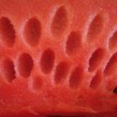 Letní detoxikace ledvin - melounová kúra