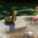 Pocení odvádí z těla důležité minerály, které je třeba průběžně doplňovat