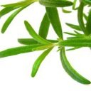 Podpora detoxikace ledvin