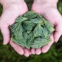 Potraviny, které vám pomohou nejen s jarní detoxikací těla