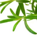 Podpora detoxikace ledvin