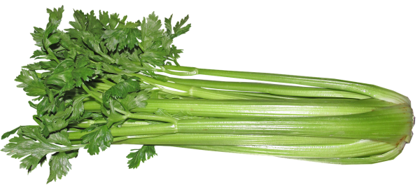 řapíkatý celer, hubnutí, zdraví, vitaminy, minerály