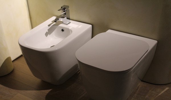 bidet, toaleta, zdraví, toletní papír, nemoci